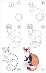 儿童教育页面展示了如何一步地学习画一只可爱的雪貂。 回学校去。 培养儿童绘画和着色的技能。 矢量卡通形象。