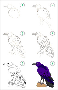 儿童教育页面展示了如何一步地学习画一只可爱的乌鸦。 回学校去。 培养儿童绘画和着色的技能。 矢量卡通形象。