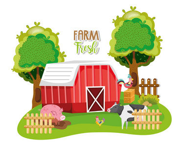 农场新鲜与牛和猪的卡通矢量图平面设计