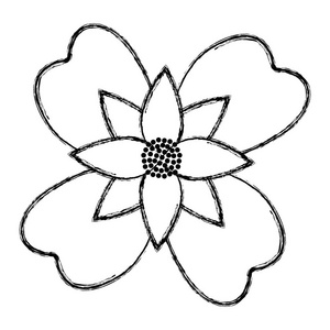 天然花朵，漂亮的花瓣设计矢量插图
