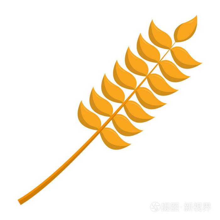 农业小麦植株叶粒矢量插图