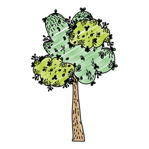 带有自然茎和热带叶子的涂鸦树矢量插图