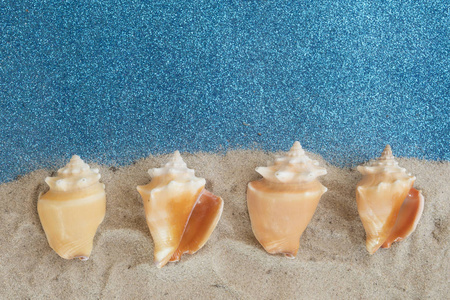 兰比斯蜘蛛海螺,菊苣,大海蜗牛,独特的贝壳软体动物腹足类.