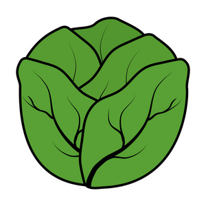 彩色天然生菜蔬菜有机食品插图