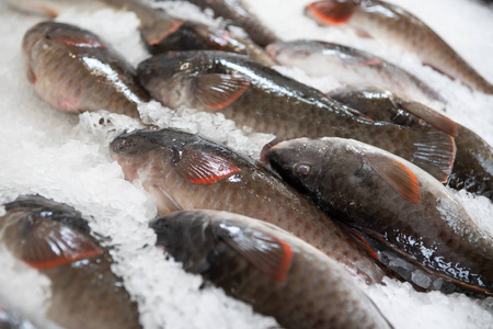 红鳍海洋中型鱼,红鳍躺在柜台上的冰上. 选择性聚焦.照片