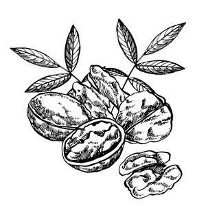 六个核桃图片-六个核桃素材-六个核桃插画-摄图新视界