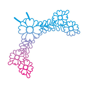 退化线美丽花叶枝植物矢量插图