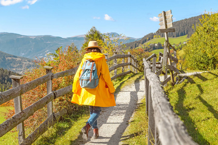 秋天，穿黄色斗篷的女旅行者在自然公园徒步旅行