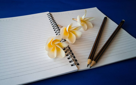 蓝底笔记本上的铅笔和花
