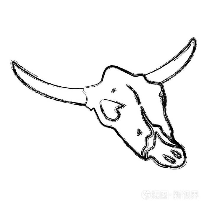 野牛沙漠死亡头骨矢量图插画-正版商用图片17vm98-摄图新视界