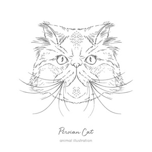 波斯猫的对称的向量画像例证照片