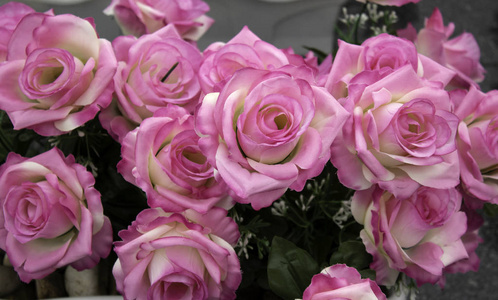 清新芬芳的玫瑰细节浪漫与爱情