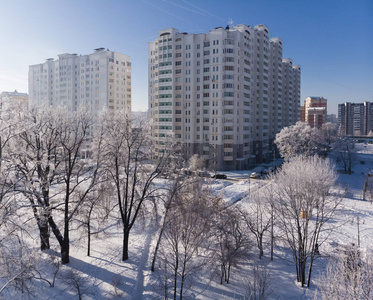 在阳光明媚的日子里可以看到被白雪覆盖的城市公园。莫斯科, 俄罗斯