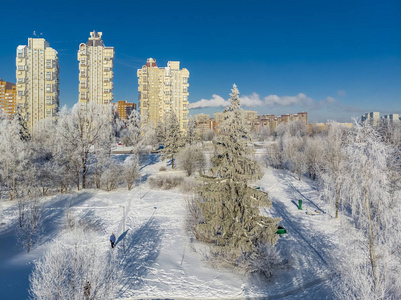 在阳光明媚的日子里可以看到被白雪覆盖的城市公园。莫斯科, 俄罗斯