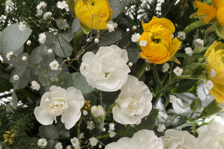 花束背景。 康乃馨和海葵。