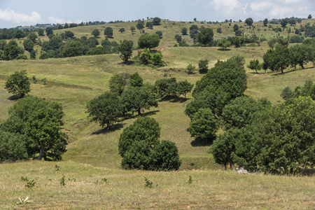 保加利亚奥格拉日登山布拉戈耶夫格勒地区夏季景观