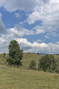 保加利亚奥格拉日登山布拉戈耶夫格勒地区夏季景观