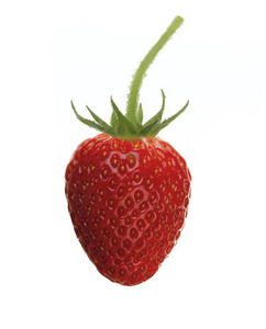 白色背景下分离的成熟生草莓
