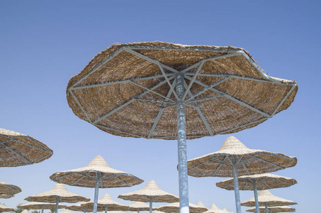 许多海滩伞从柳条在天空中，埃及