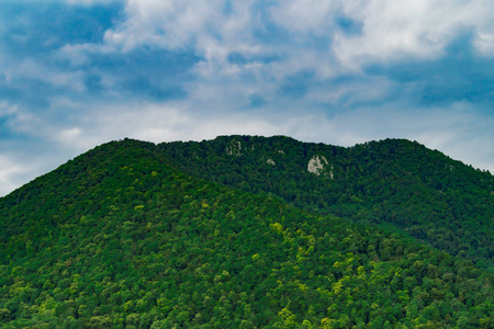 满是绿色森林的山。 天空有云。 美丽的山景。