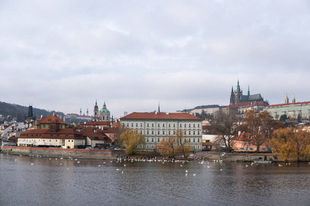 布拉格城堡和圣维特大教堂全景, 捷克共和国。伏尔塔瓦河