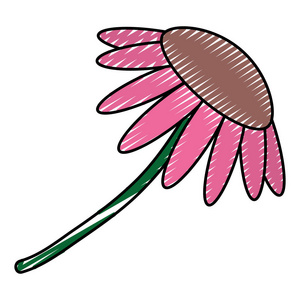带有花瓣设计矢量插图的涂鸦天然花卉植物