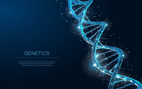 Dna。摘要三维多边形线框 dna 分子螺旋在蓝色上的应用