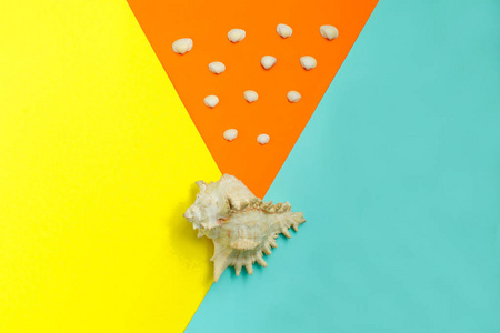 一个大的贝壳在五颜六色的背景和许多小海壳在橙色的背景。顶部视图。夏季时间