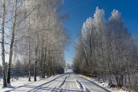 白雪覆盖的冬季道路，两旁是霜白色的树木，在阳光明媚的日子里，在一个美丽的季节性景观中，天空晴朗，向远处退去。