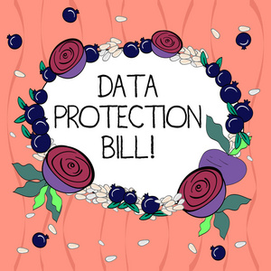 文字书写文本数据保护法案。控制如何使用由微小种子小光泽石榴和切面制成的花花环的商业概念
