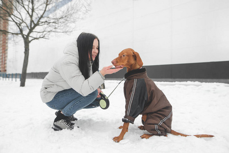 微笑的女孩在街上，一只漂亮的狗穿着衣服，在寒冷的冬天散步。女孩和狗坐在雪地里，玩女孩微笑着看着宠物。 街上漂亮的女孩和狗。