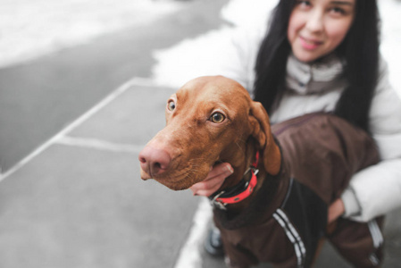 特写一只穿着衣服的狗在冬天和一个女孩散步的肖像。 专注于狗可爱的脸。 主人和狗在散步。 特写一个宠物和快乐的女孩的背景。