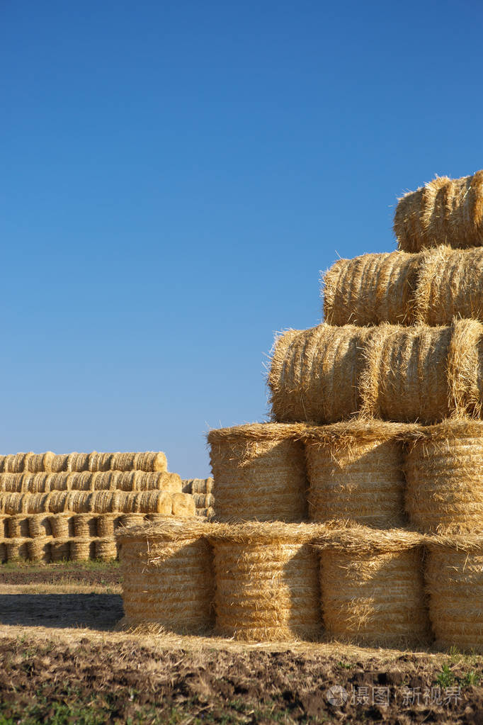 秋天的自然收获蓝色天空下农场里的黄色干干草堆
