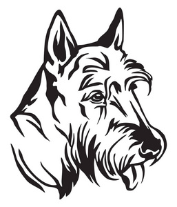 装饰轮廓肖像的狗苏格兰猎犬在轮廓矢量插图黑色隔离在白色背景。 用于设计和纹身的图像。