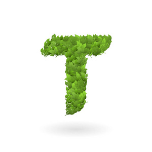 向量自然绿色生态叶子的 t 字母