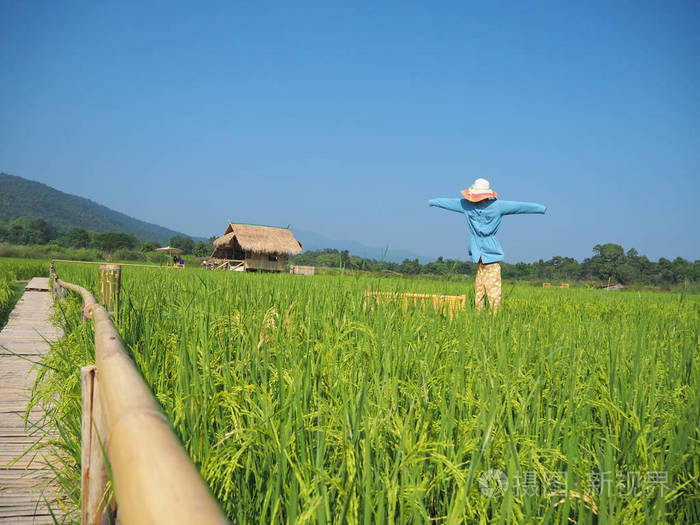 田野里的稻草人和天空