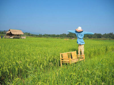稻草人剪影田野里的稻草人和天空照片