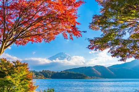 日本大林湖畔枫叶树的富士山美景