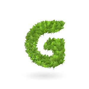 向量自然绿色生态叶子 g 字母