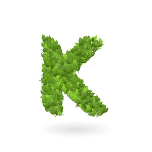 向量自然绿色生态叶子的 k 字母