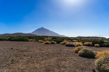 泰德火山的VEW。 观点米拉布拉多卡拉穆乔。 加那利群岛。 泰内利夫。 西班牙。