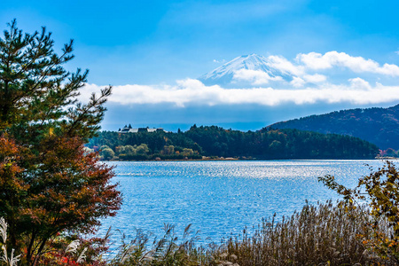 秋季环湖枫叶树的富士山美景