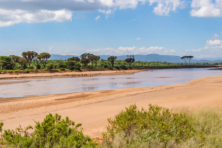 iro River in the savannah of Samburu Park in central Kenya