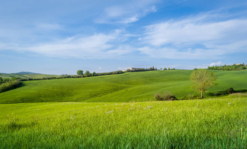 托斯卡诺省的农村视野照片