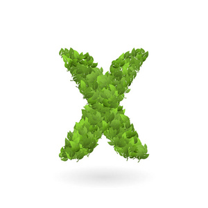 向量自然绿色生态叶子的 x 字母