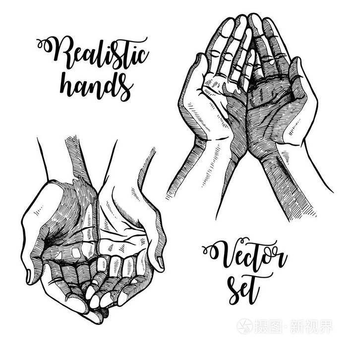 手绘张开的手掌.黑色和白色的老式手.向量剪影