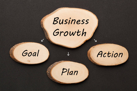 业务增长与概念词，目标计划和行动写在木制椭圆。 业务概念