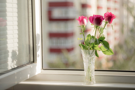 在一个温暖的夏日，在城市背景的窗户上放着玻璃花瓶里的粉红色玫瑰