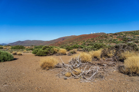 泰德火山附近的沙漠景观。 观点米拉布拉多卡拉穆乔。 背景是台德天文台。 泰内利夫。 加那利群岛。 西班牙。