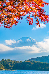 日本大林湖边枫叶树的富士山美景